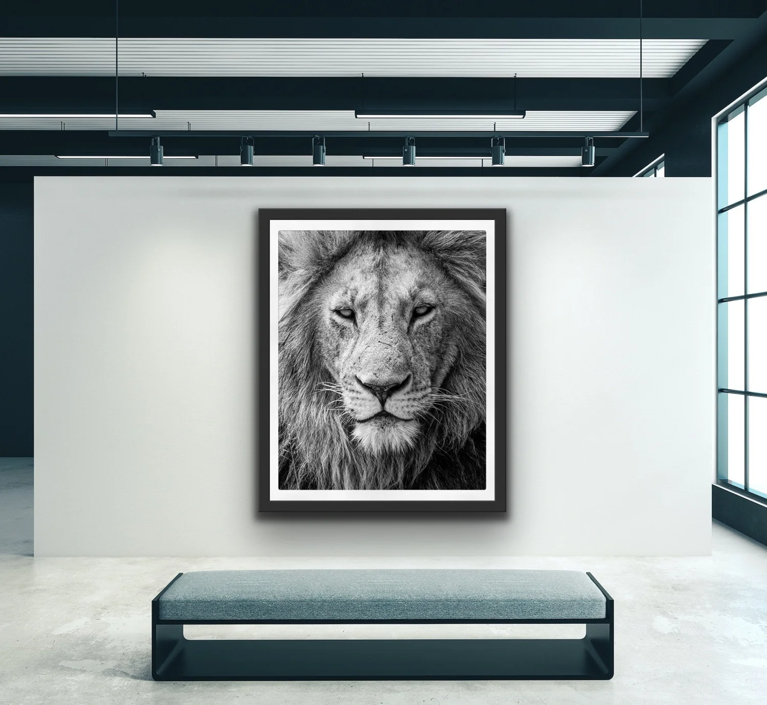 Black and white lion portrait in a large black frame in a contemporary interior