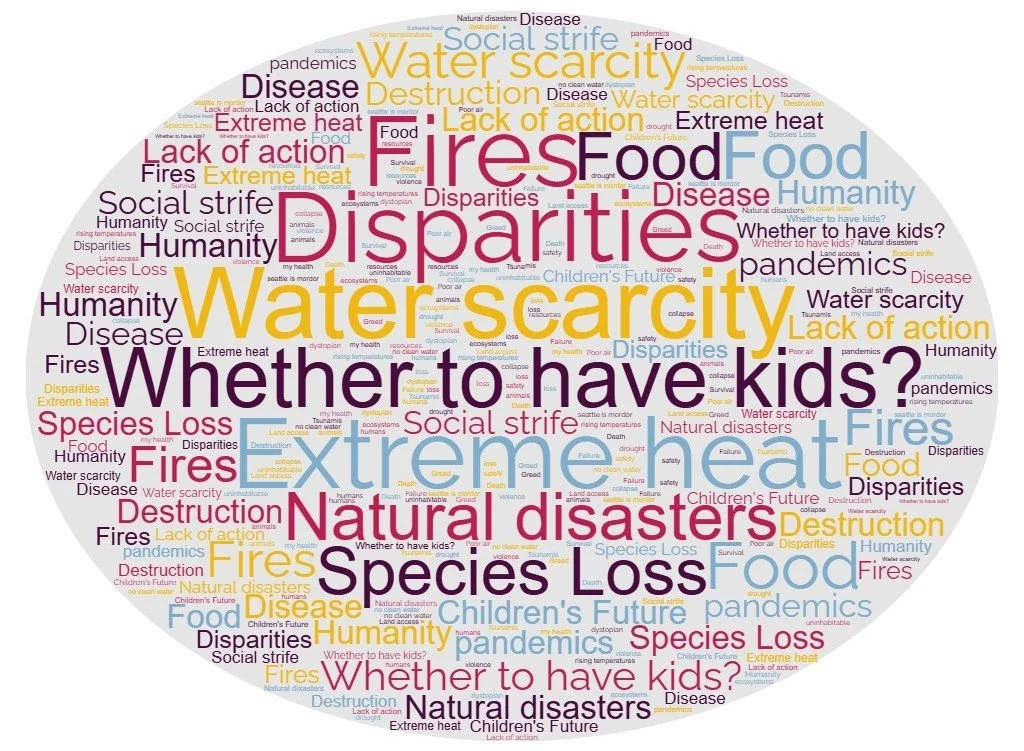 Word cloud of climate worries--water scarcity, whether to have kids, extreme heat, more.