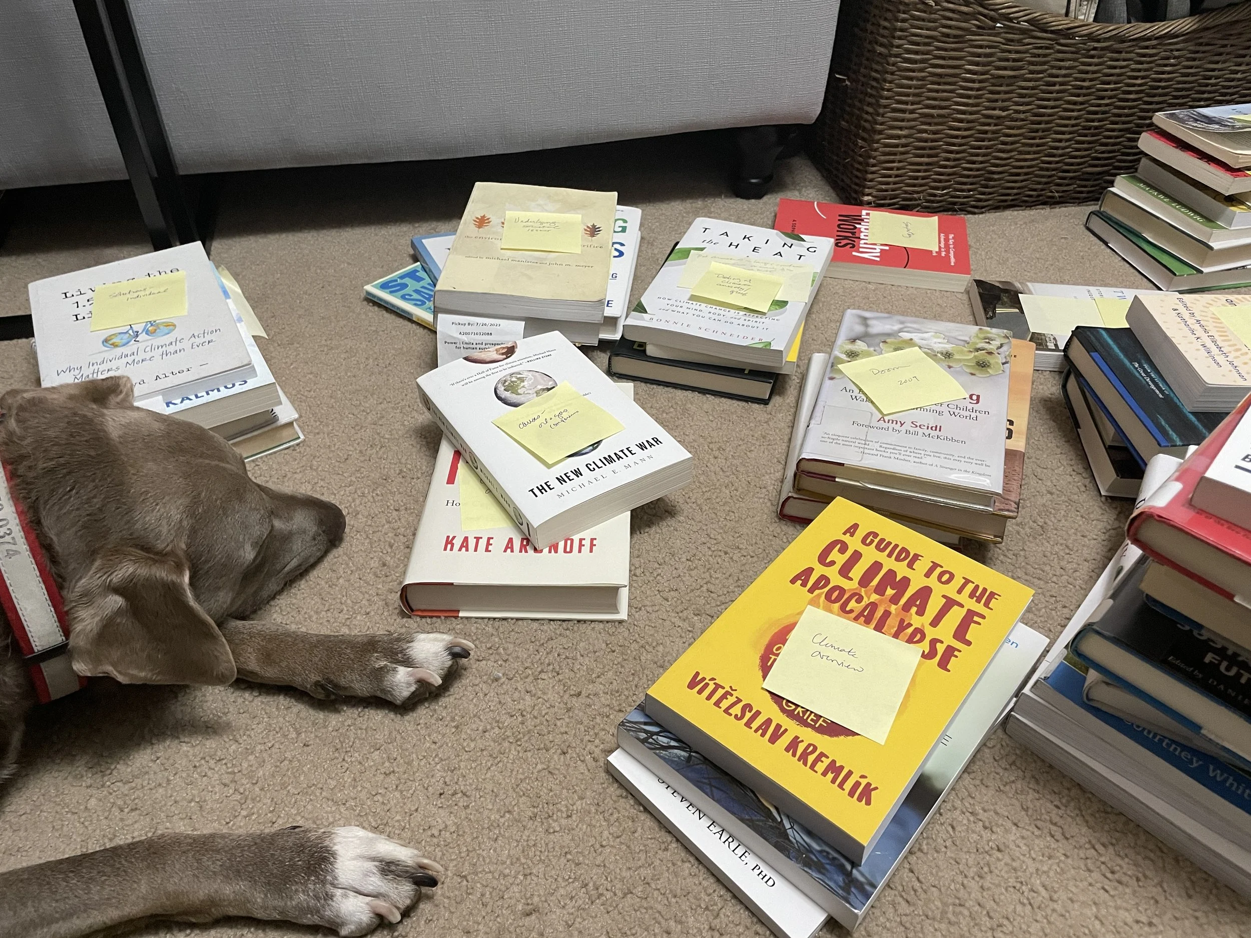 A photo of a dog surrounded by piles of books