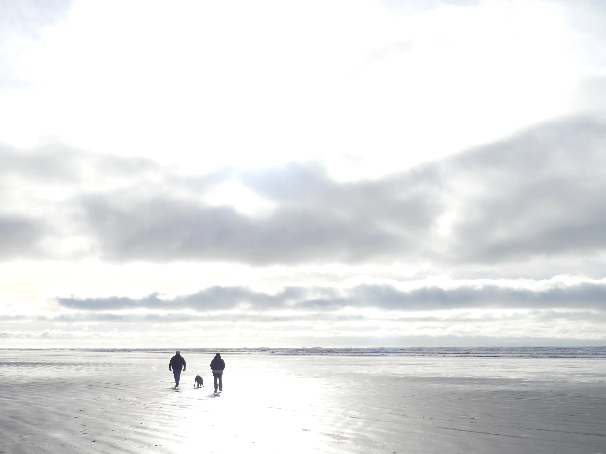 A cloudy beach with two people and a dog in the distance