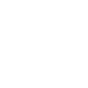 professional icon