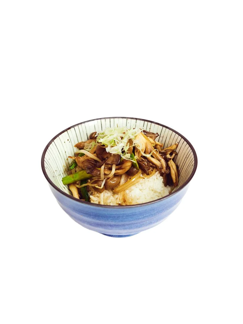 KINOKO DON