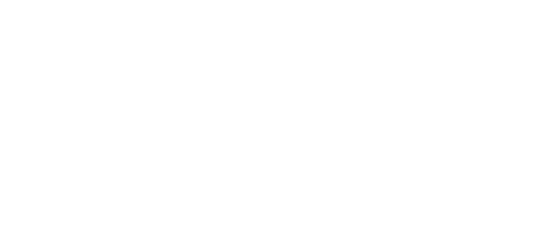 Long Island Premium logo