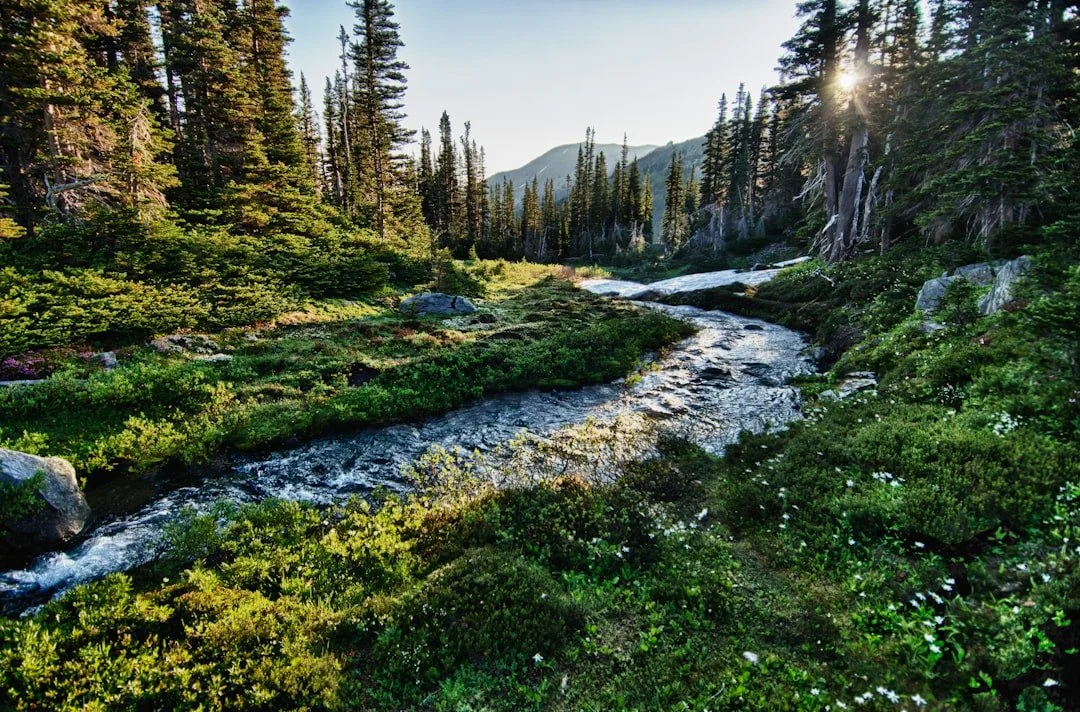 Dramatic waterfall in America's wild landscape — the places Bonaventure Memorials was built to protect