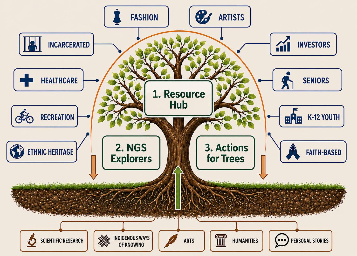 The original TOUTI Tree: roots in scientific research, Indigenous ways of knowing, arts, humanities, and personal stories support a Resource Hub, NGS Explorers, Actions for Trees, and community branches.