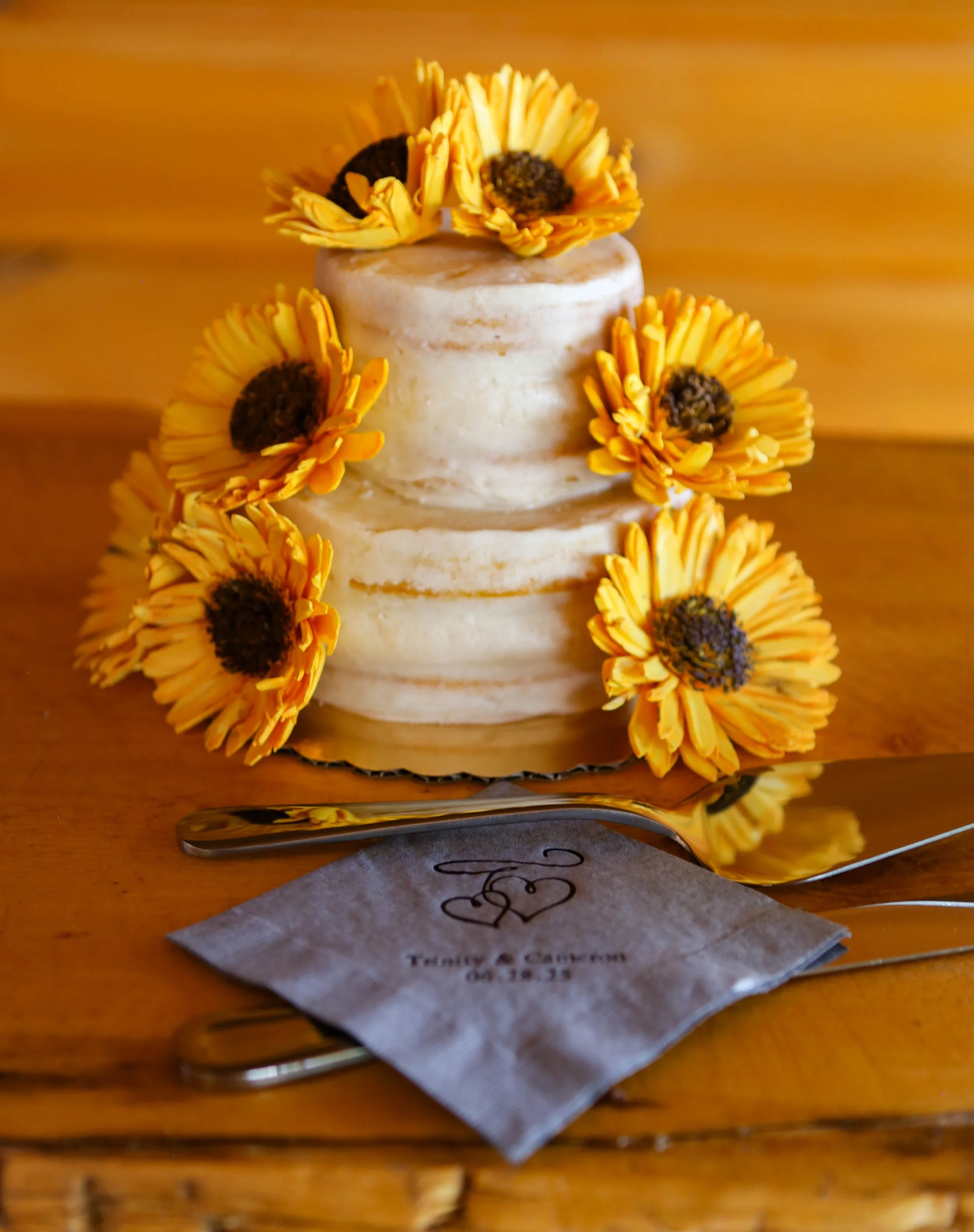 Micro wedding planning in Wyoming