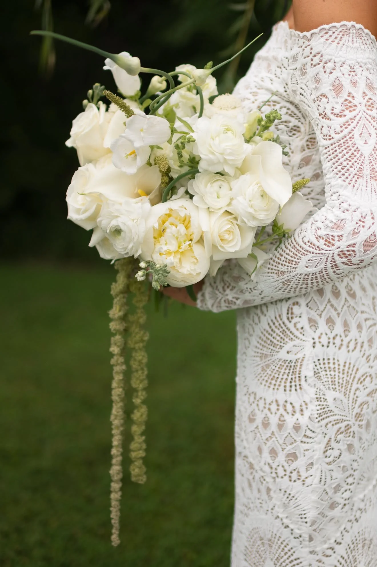 All-white bridal bouquet with trailing amaranth against lace, florals by Hydrangea Bloom, photographed by Hayley Dolson Photography