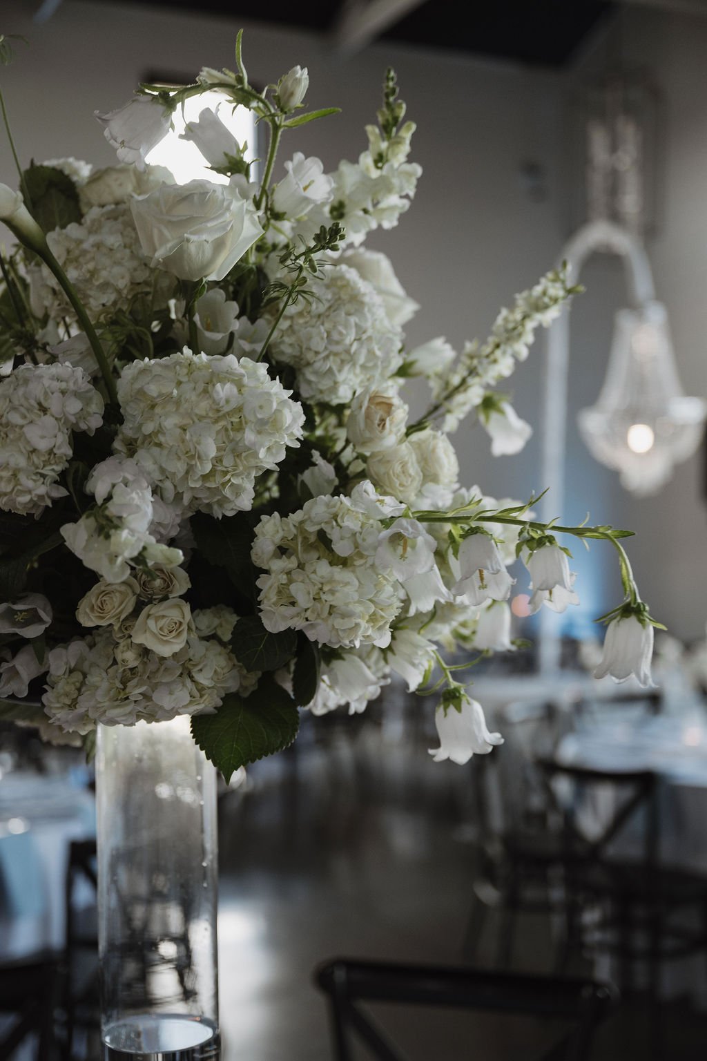 Tall white hydrangea centerpiece in a glass vase, florals by Hydrangea Bloom, photographed by Shelby Sawyer Photography