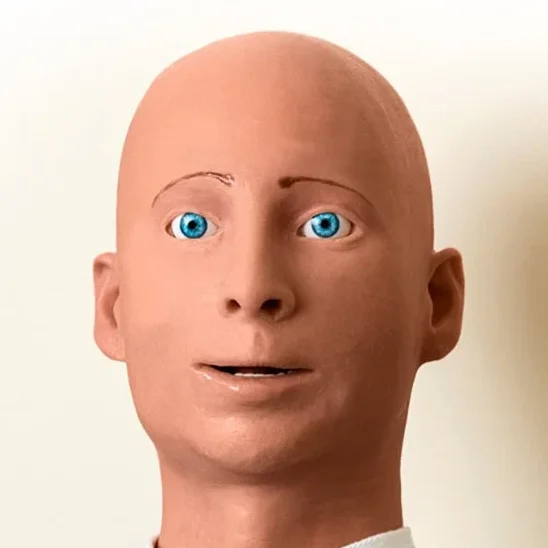 ALEX simulation avatar