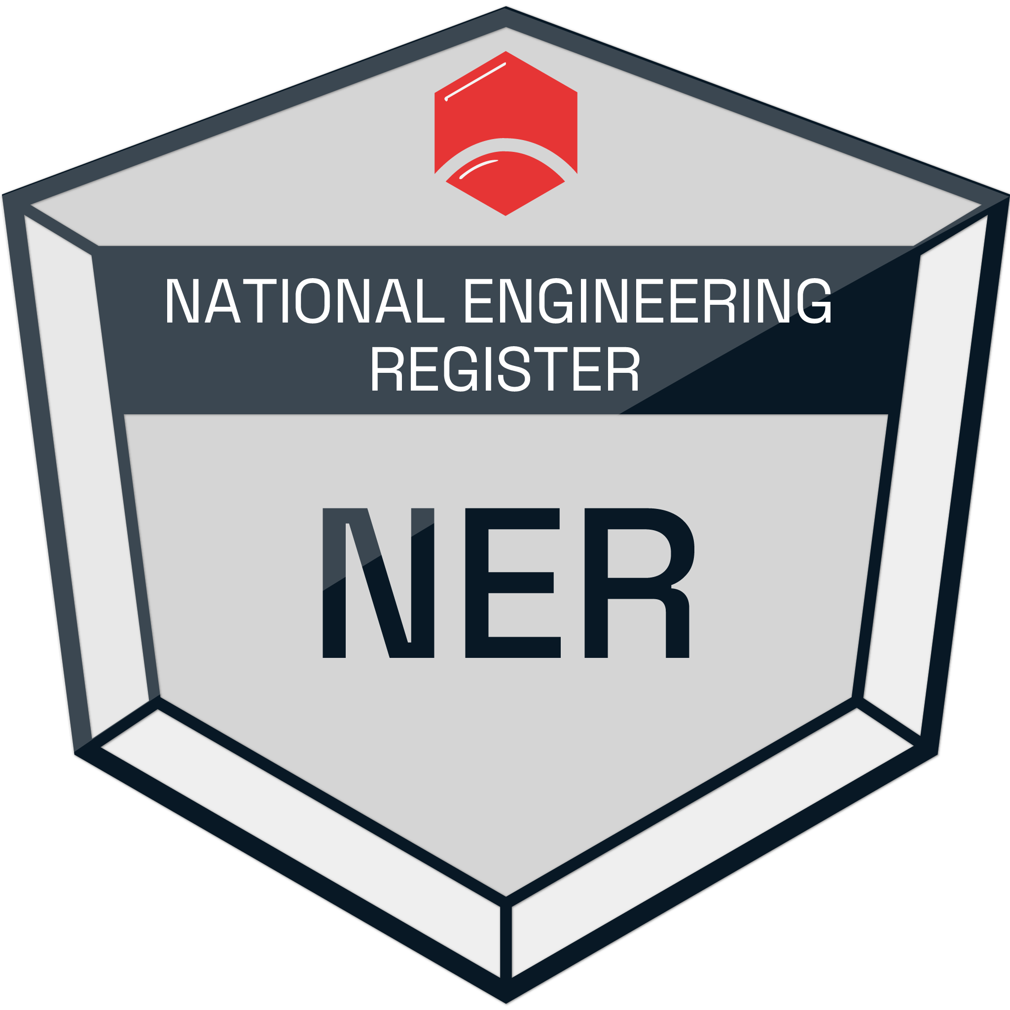 NER