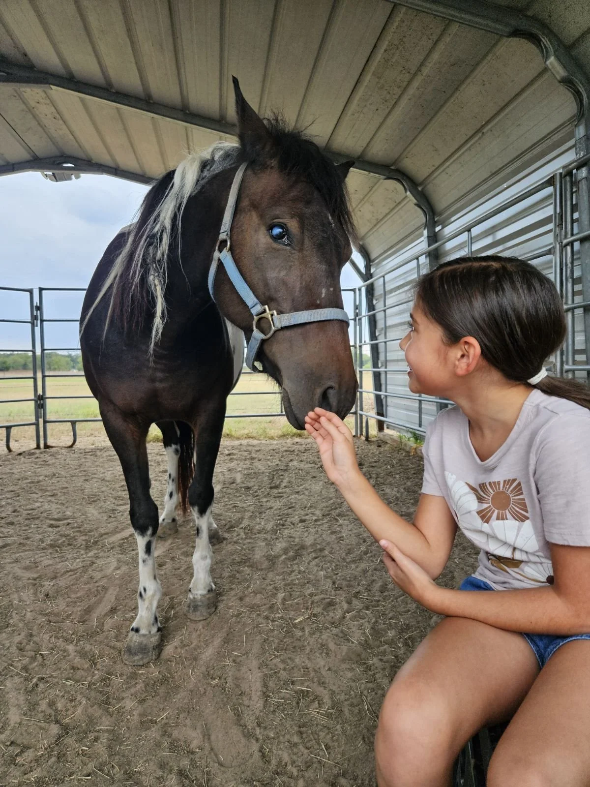 Horse at Divine Path Ranch