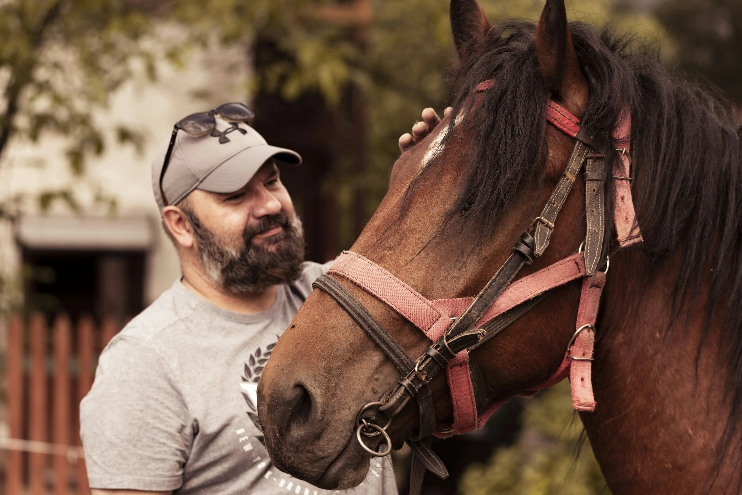 Veteran and first responder support at Divine Path Ranch