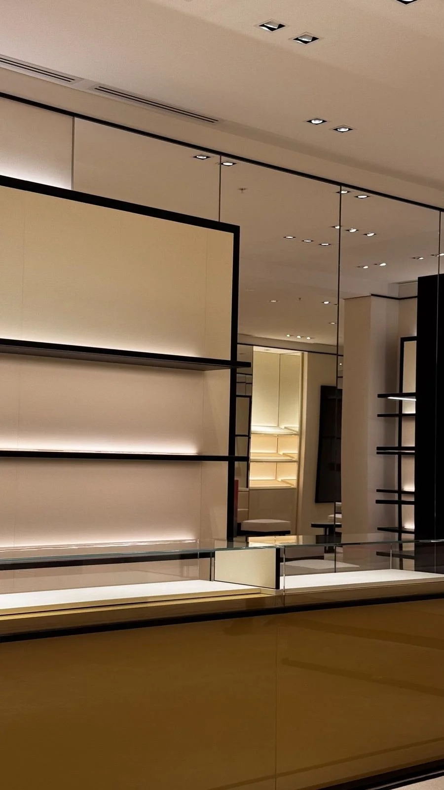 Lit shelving and glass display case