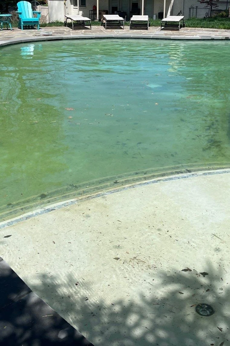 Pool opening before cleaning