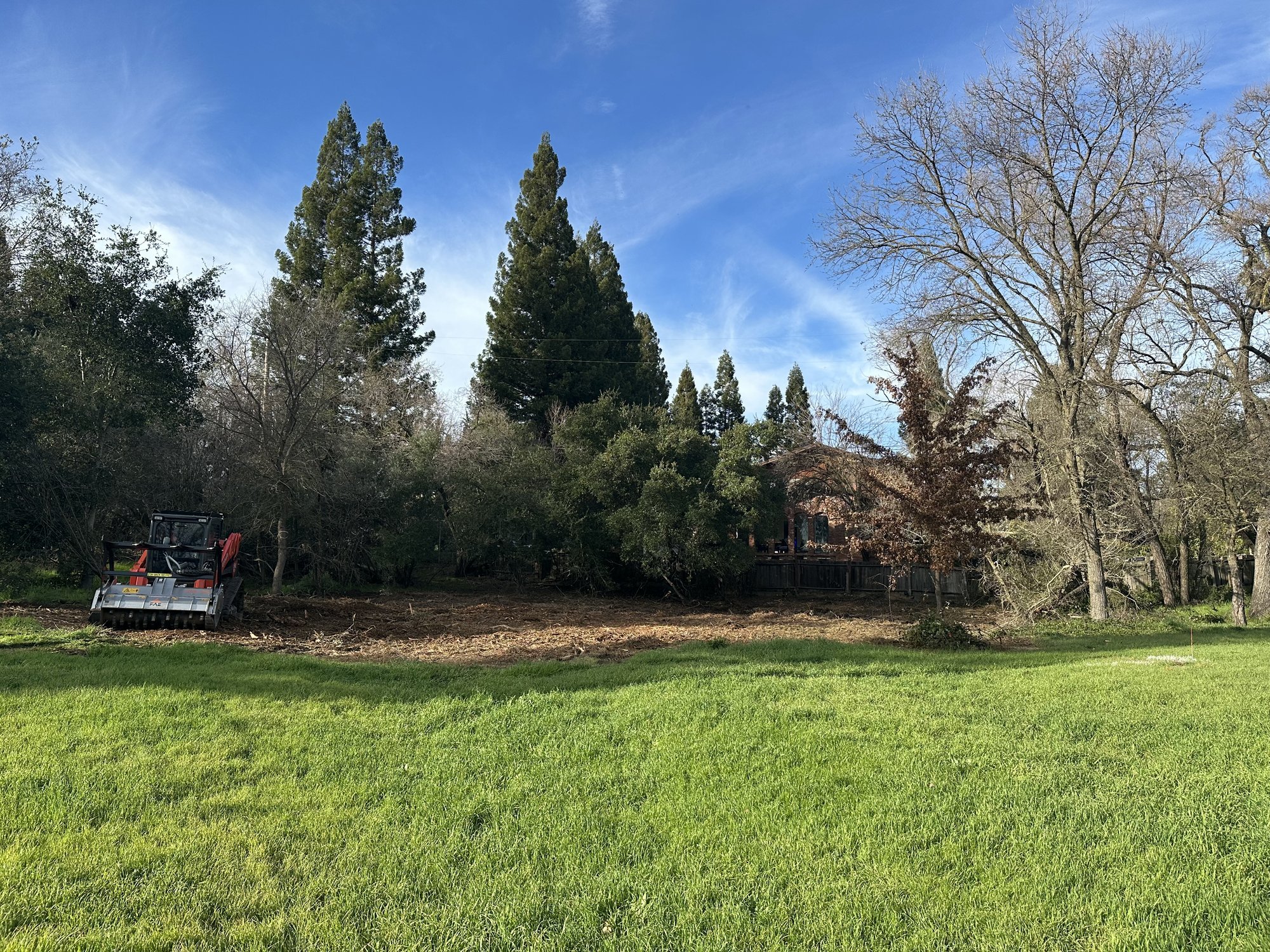 Wooded lot opened up after mastication in Carmichael