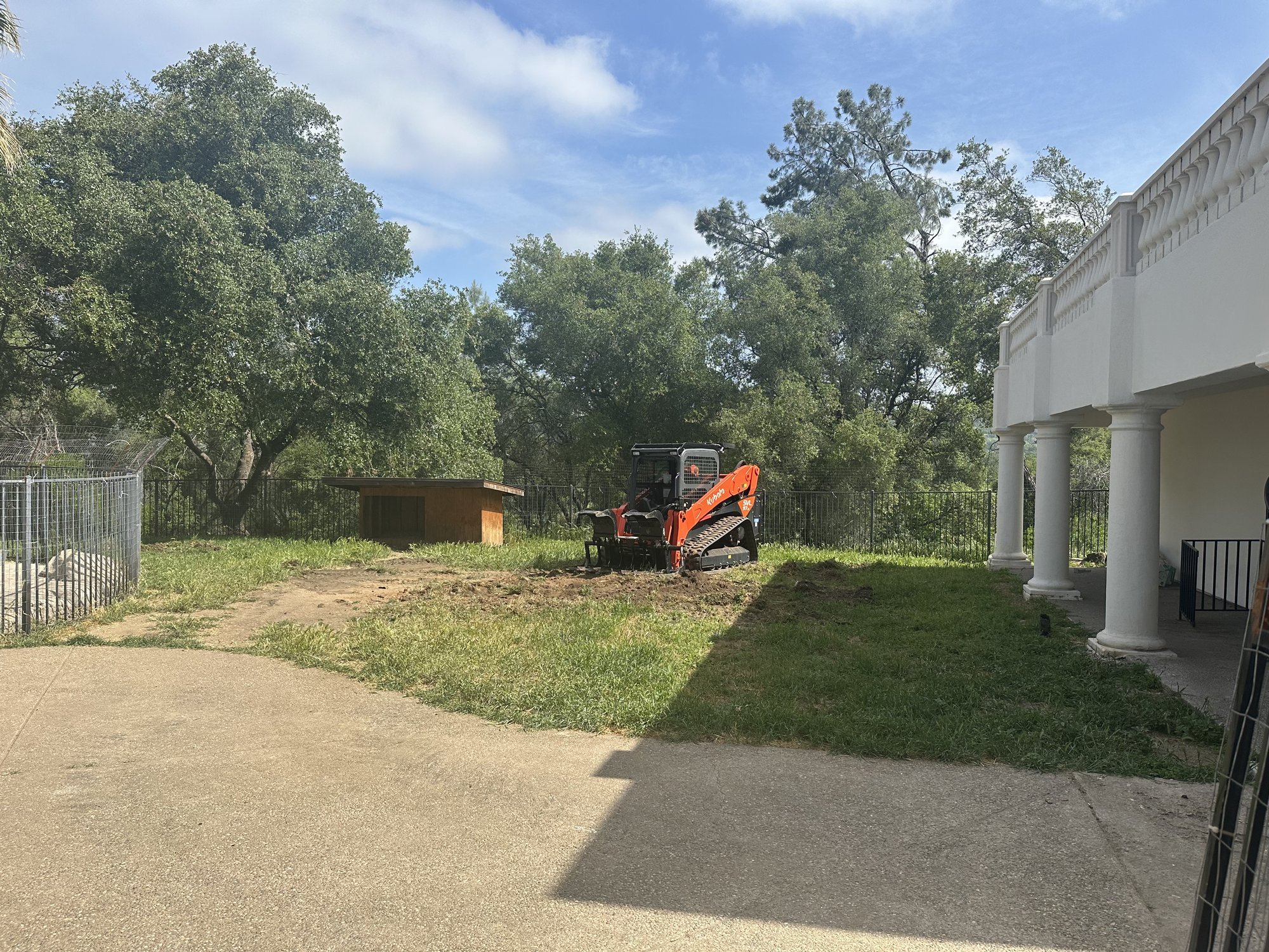 Backyard before topsoil removal in Newcastle
