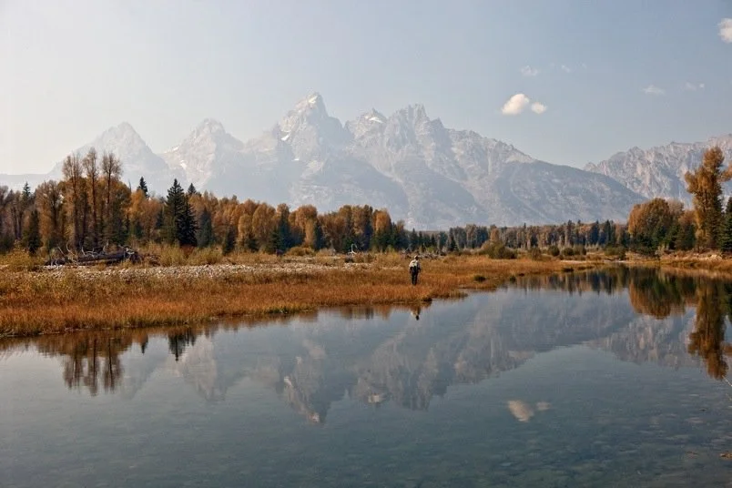 Native trout in clear western waters