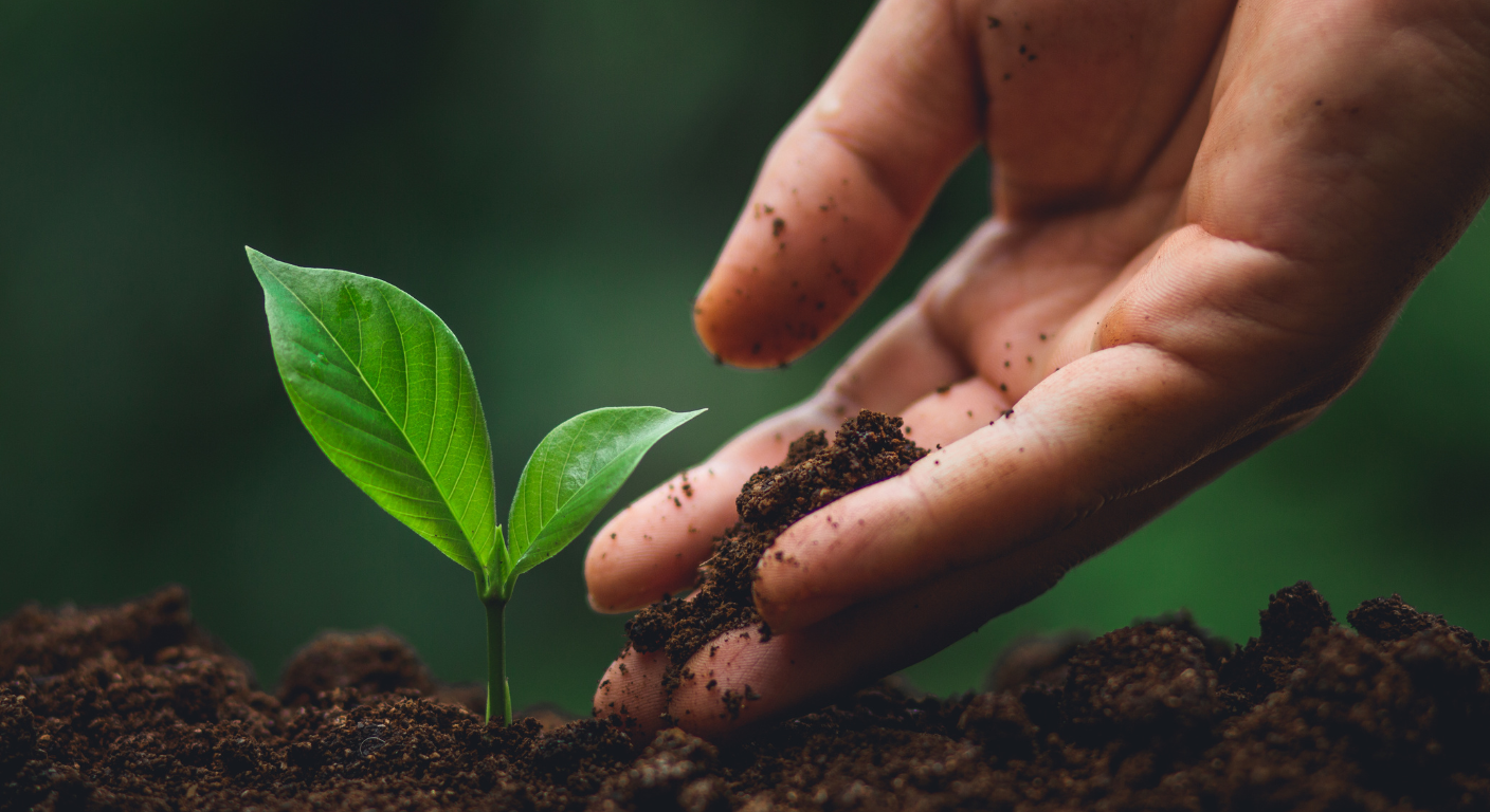 Gloved hands planting a seedling into the soil as part of LPHF's 3 Million Trees for Mother Earth campaign