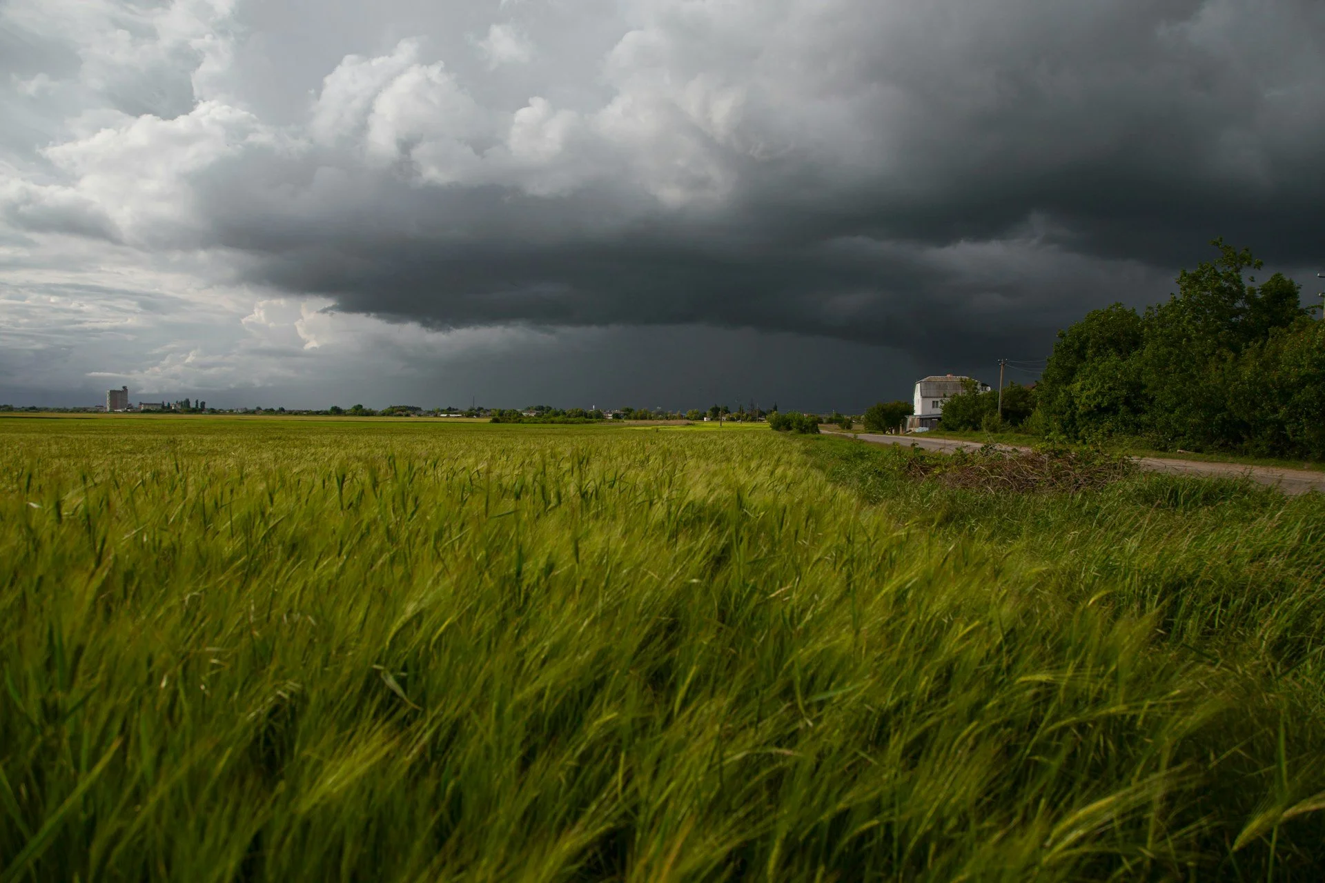 Weather Shocks on Dietary Quality