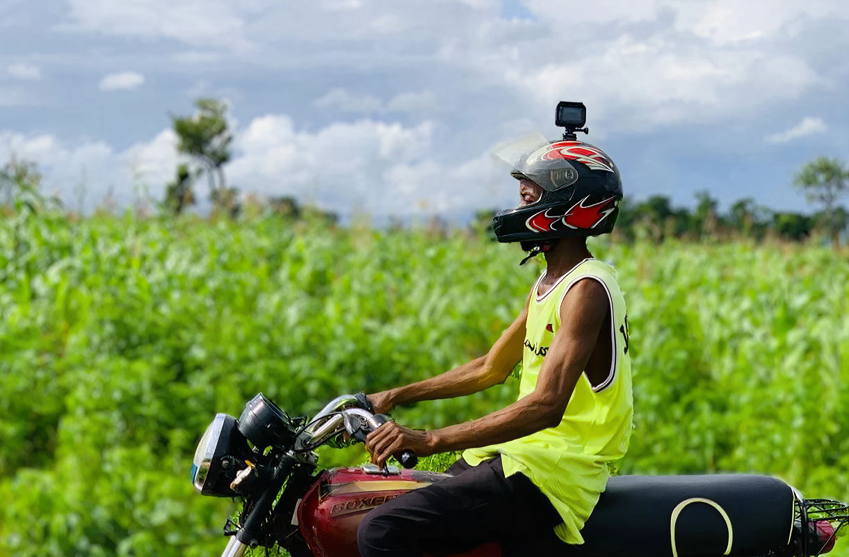 Helmets Labeling Crops