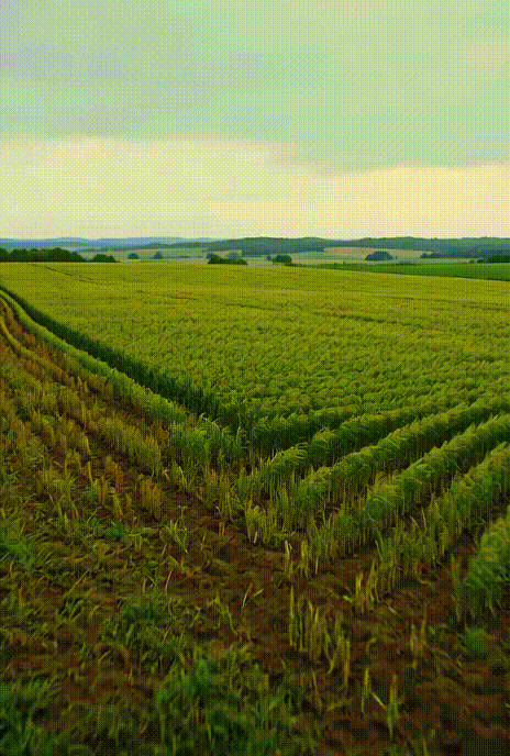 Actionable Dashboard