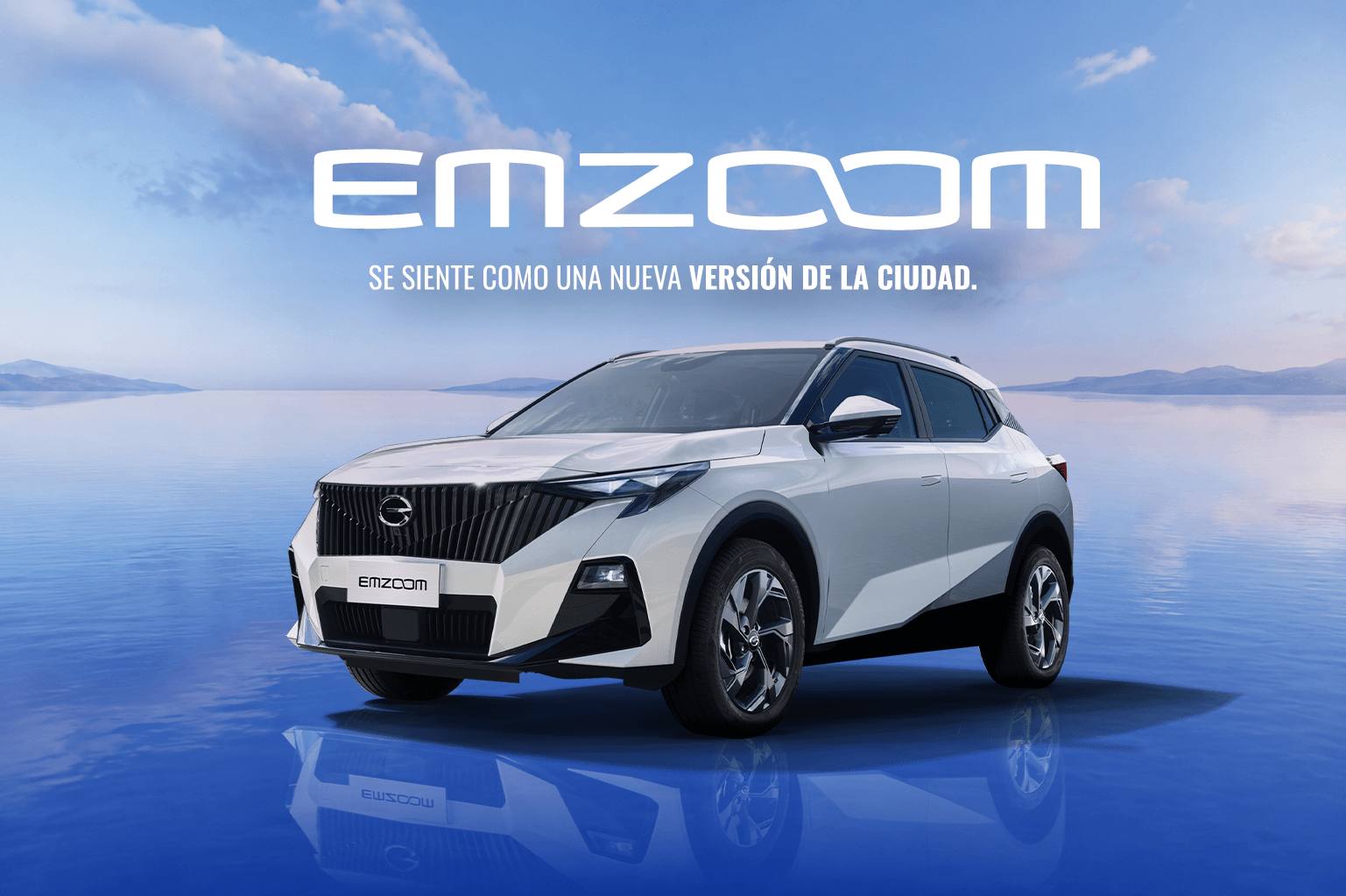 New Emzoom