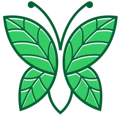 Custom Image