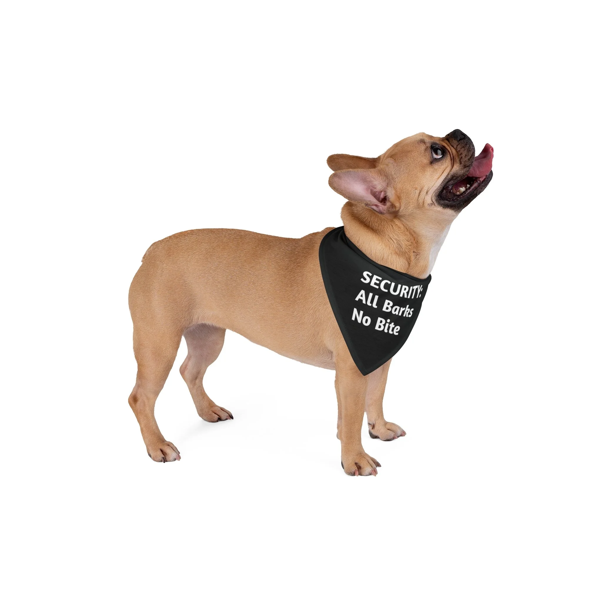 All Barks. No Bite.