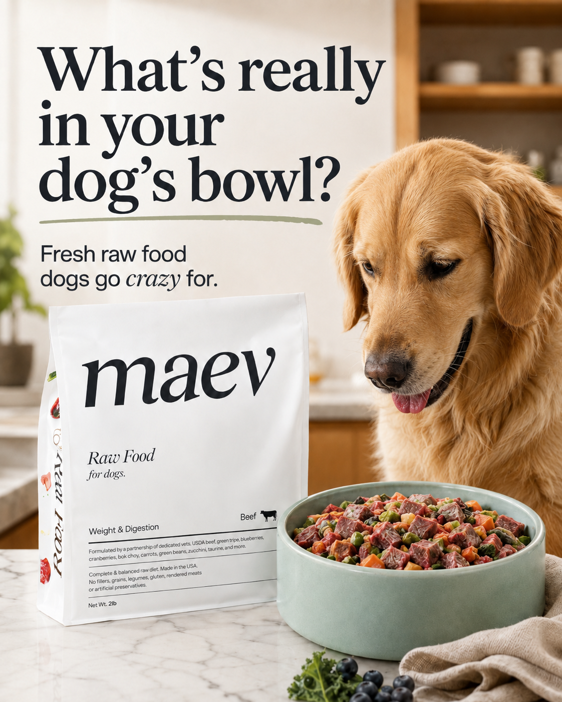 Dog toys