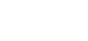 Logo 13