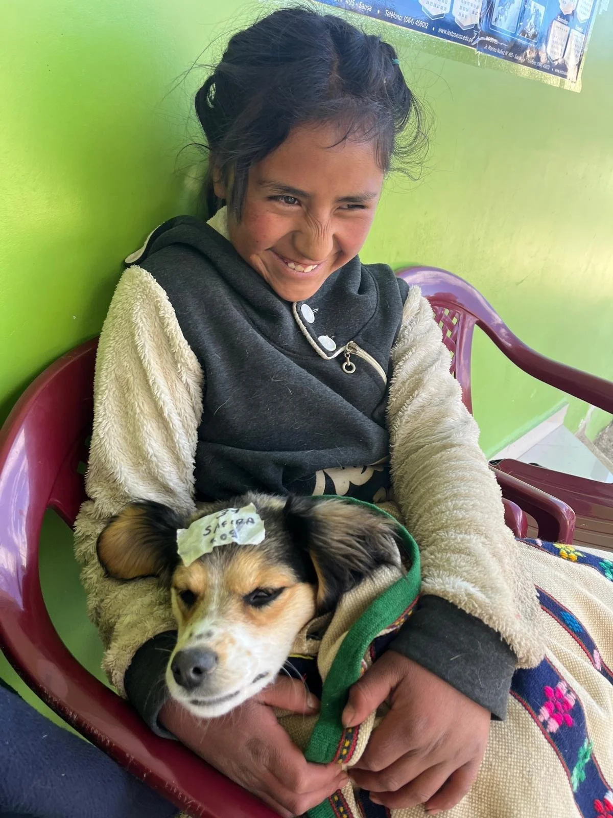 Rescue dog and child