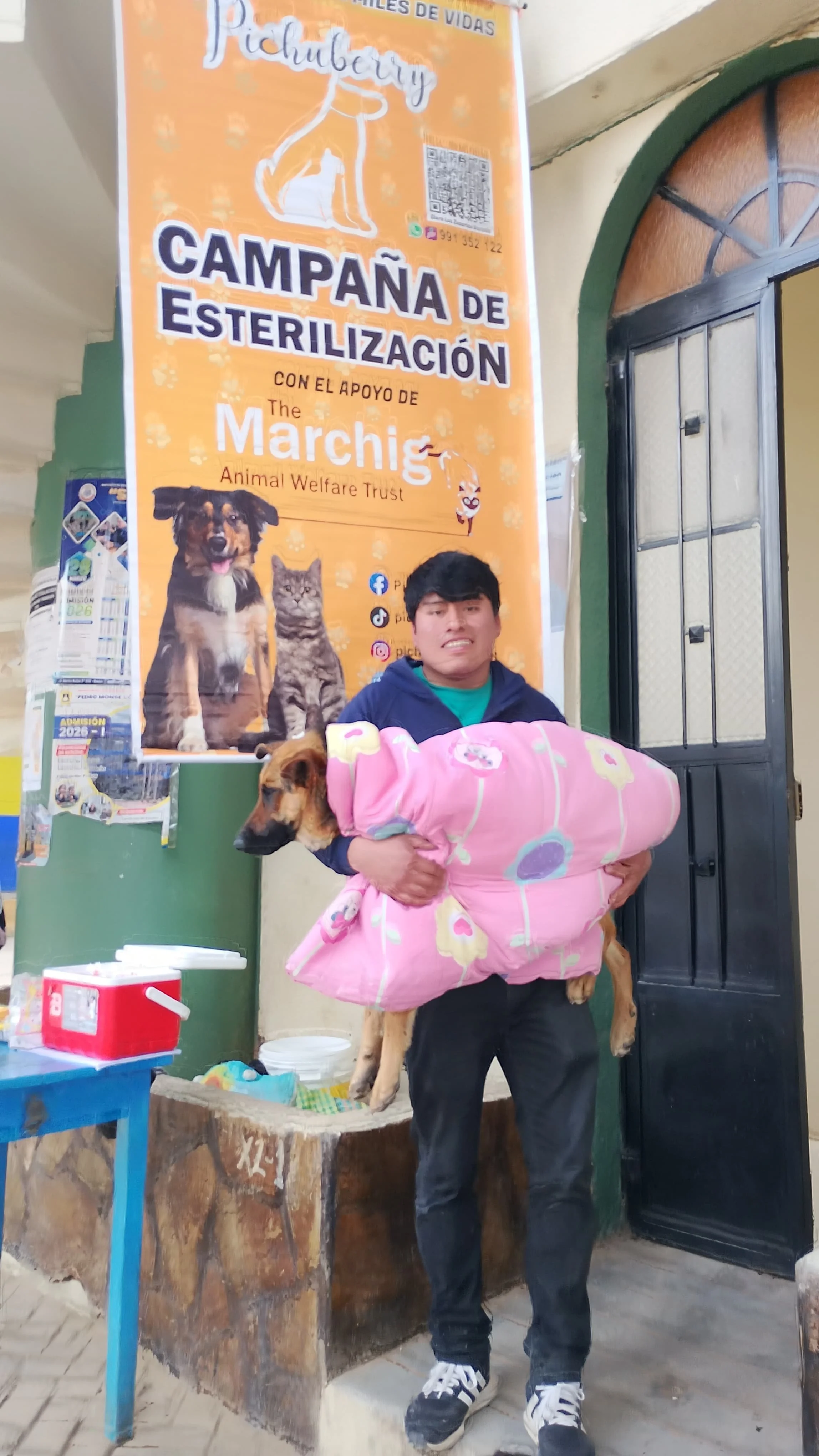 Campaign Dog