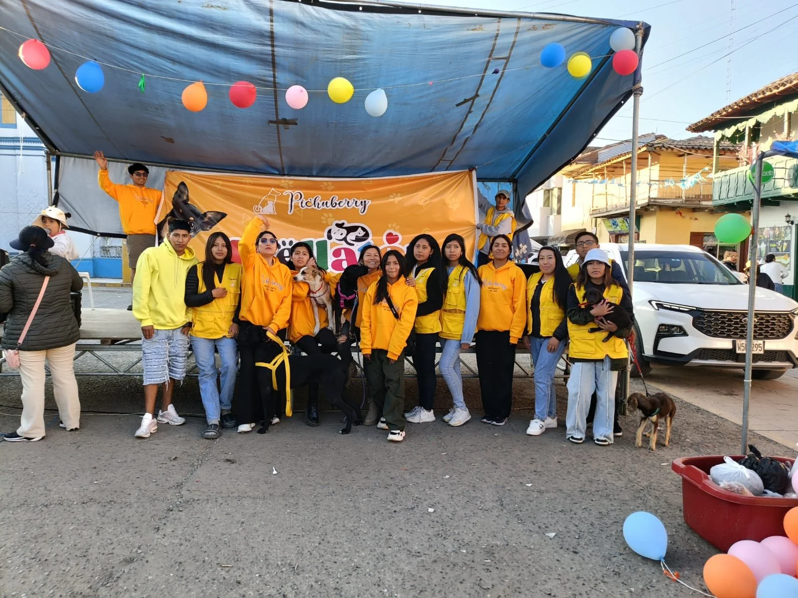 Pichuberry team