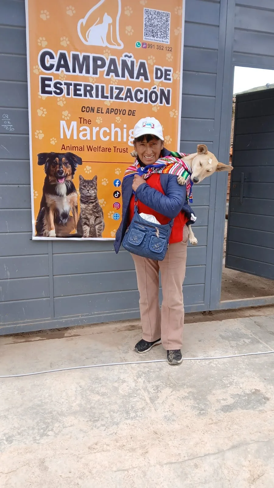 Campaign Dog