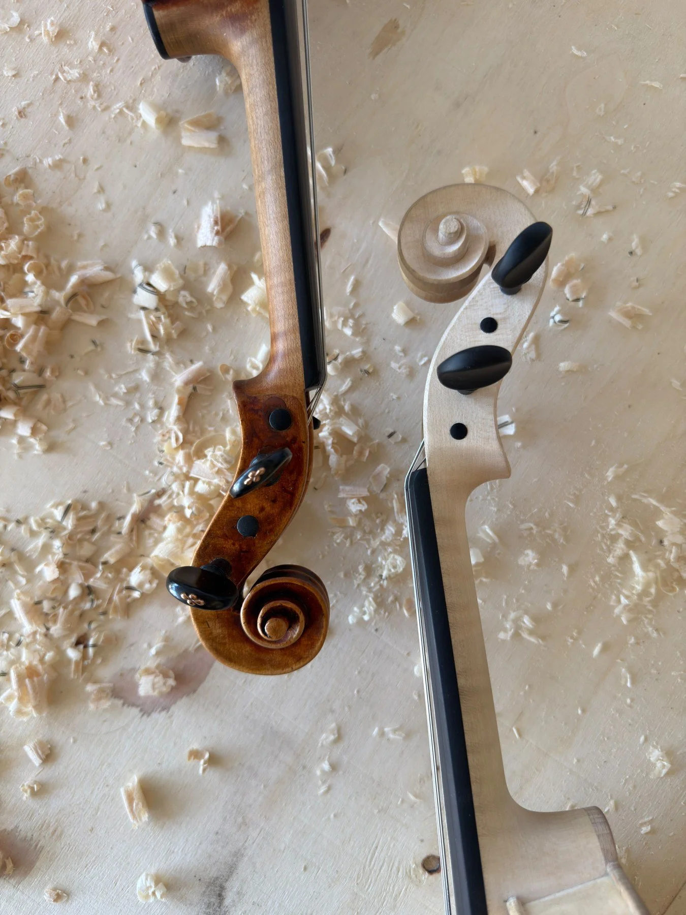 The scrolls of the original violin and its unvarnished copy