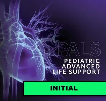 PALS Initial course — pediatric advanced resuscitation training in Brooklyn