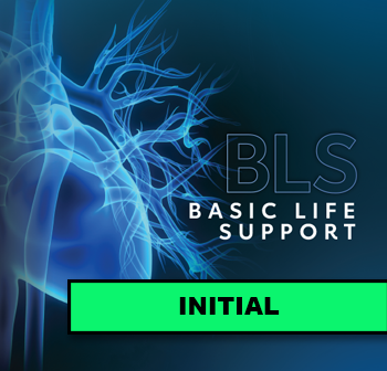 BLS Provider course — hands-on CPR and AED training