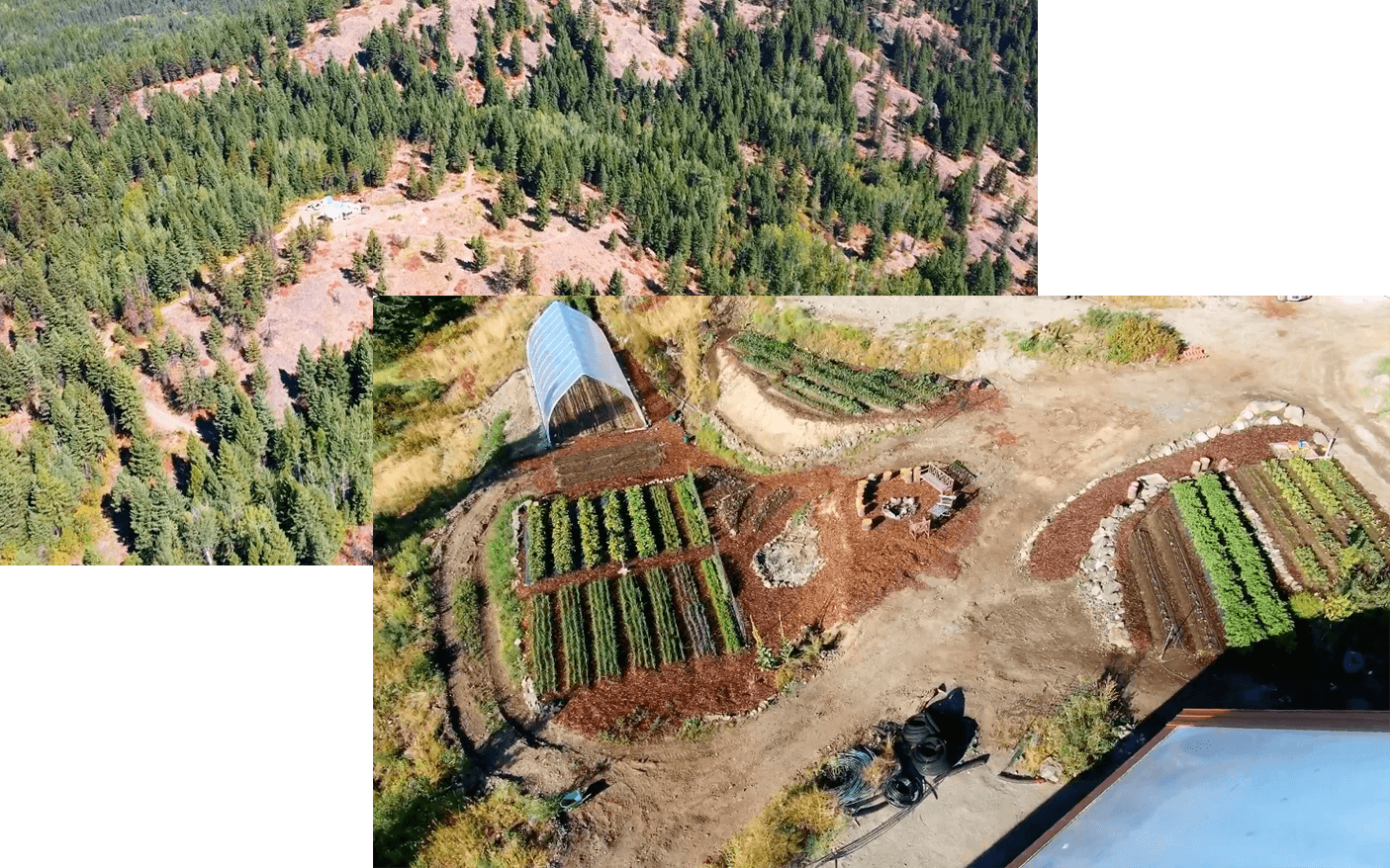 Homestead Strategy Newsletter Example