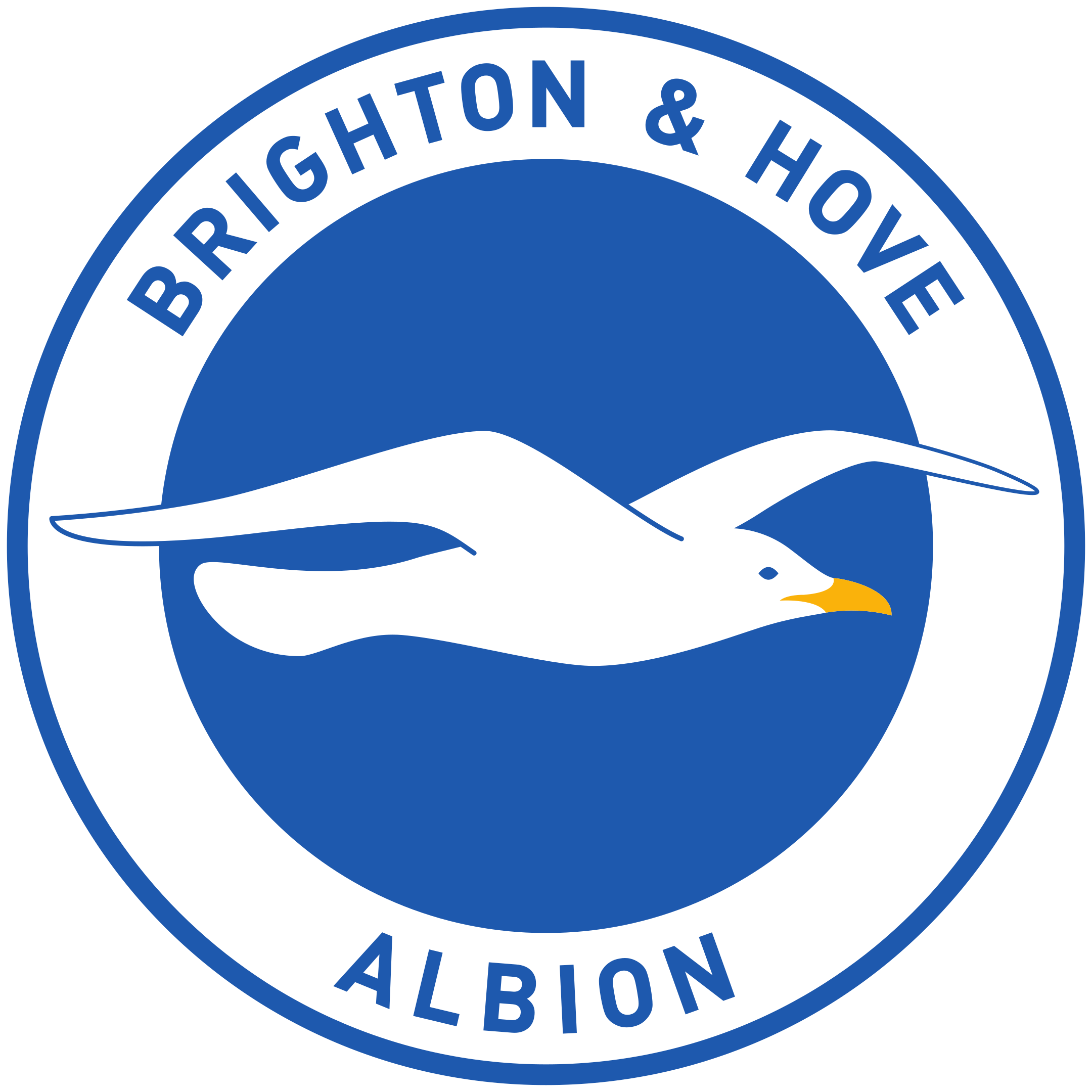 Brighton and Hove Albion