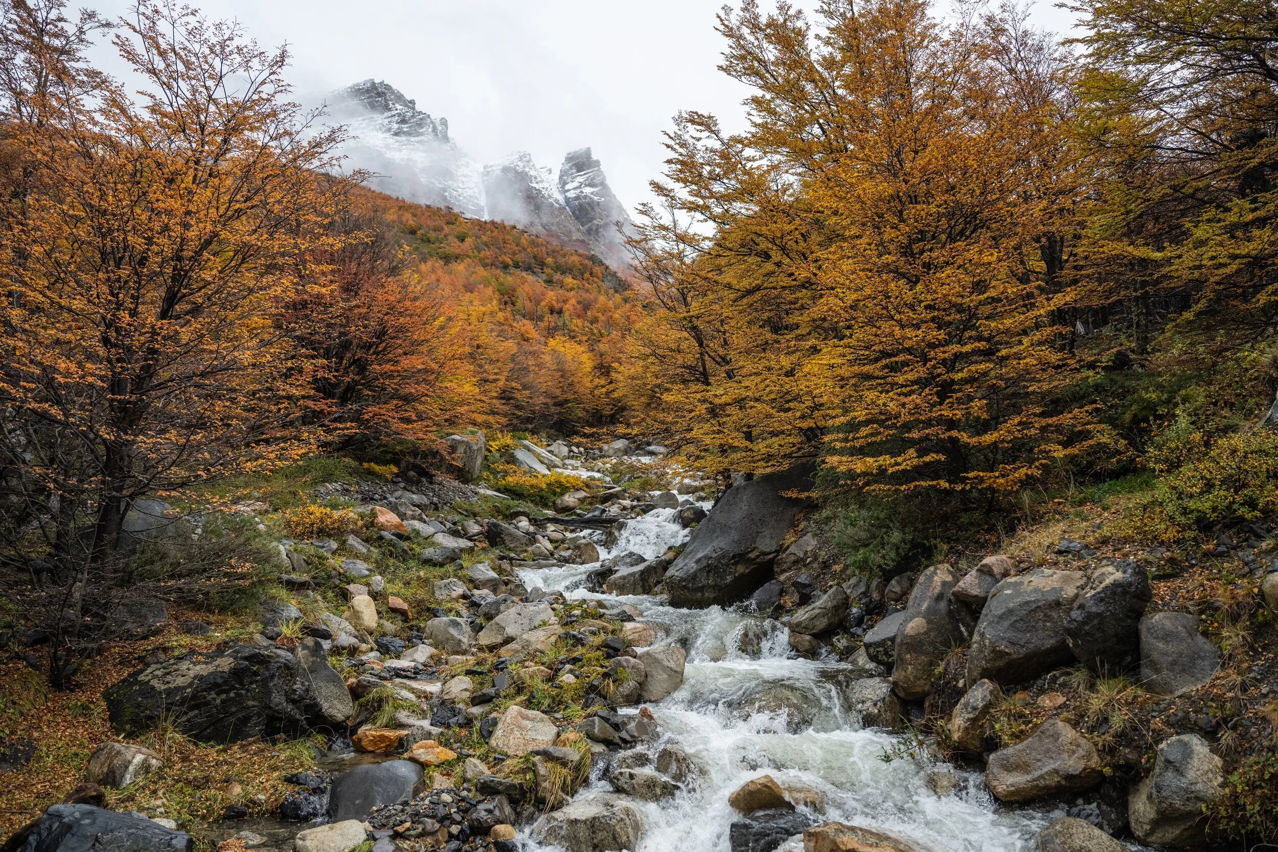A waterfall running through autumn lenga forest in Torres del Paine