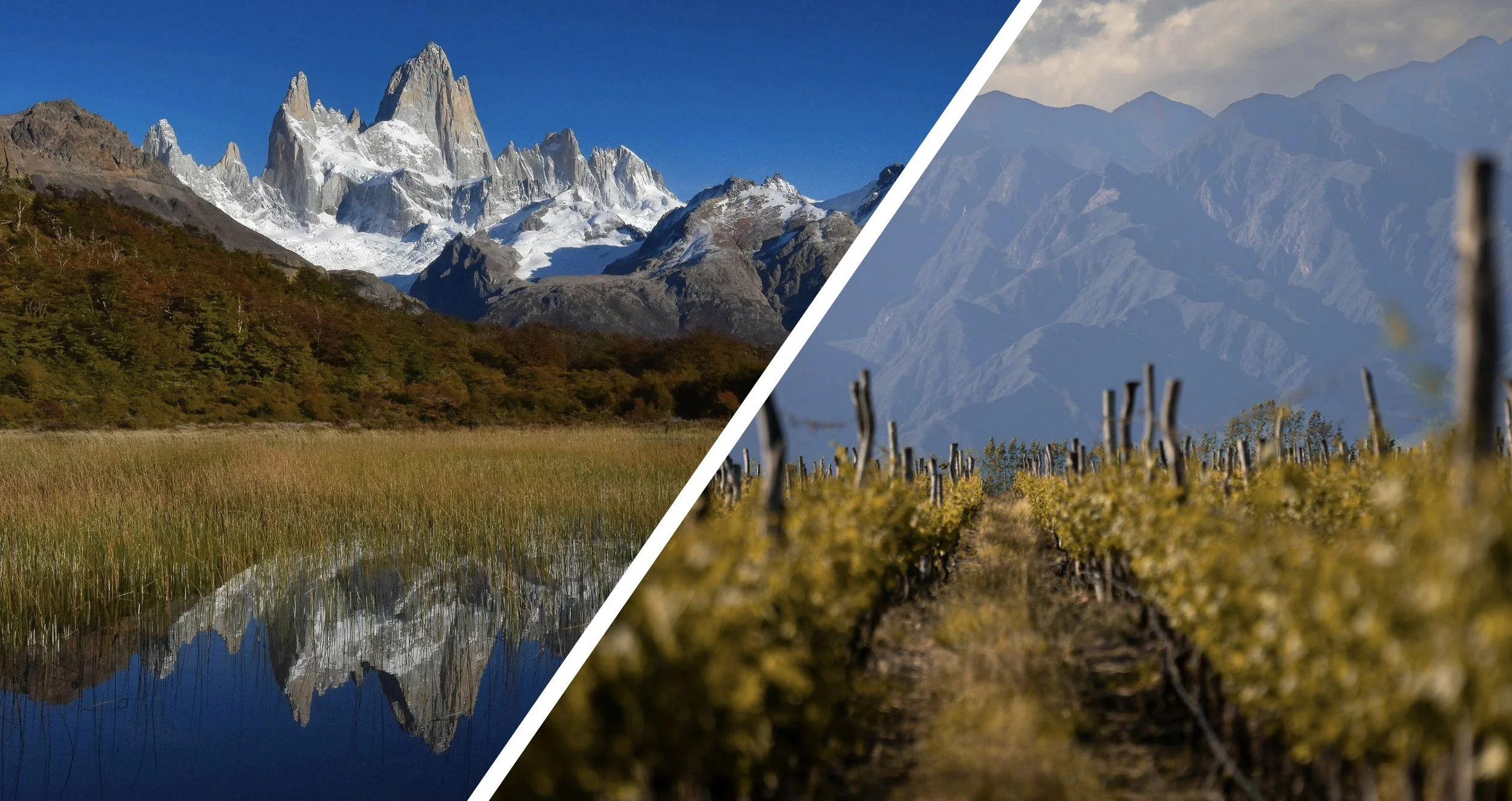 Mount Fitz Roy in Patagonia and a vineyard in Mendoza, Argentina