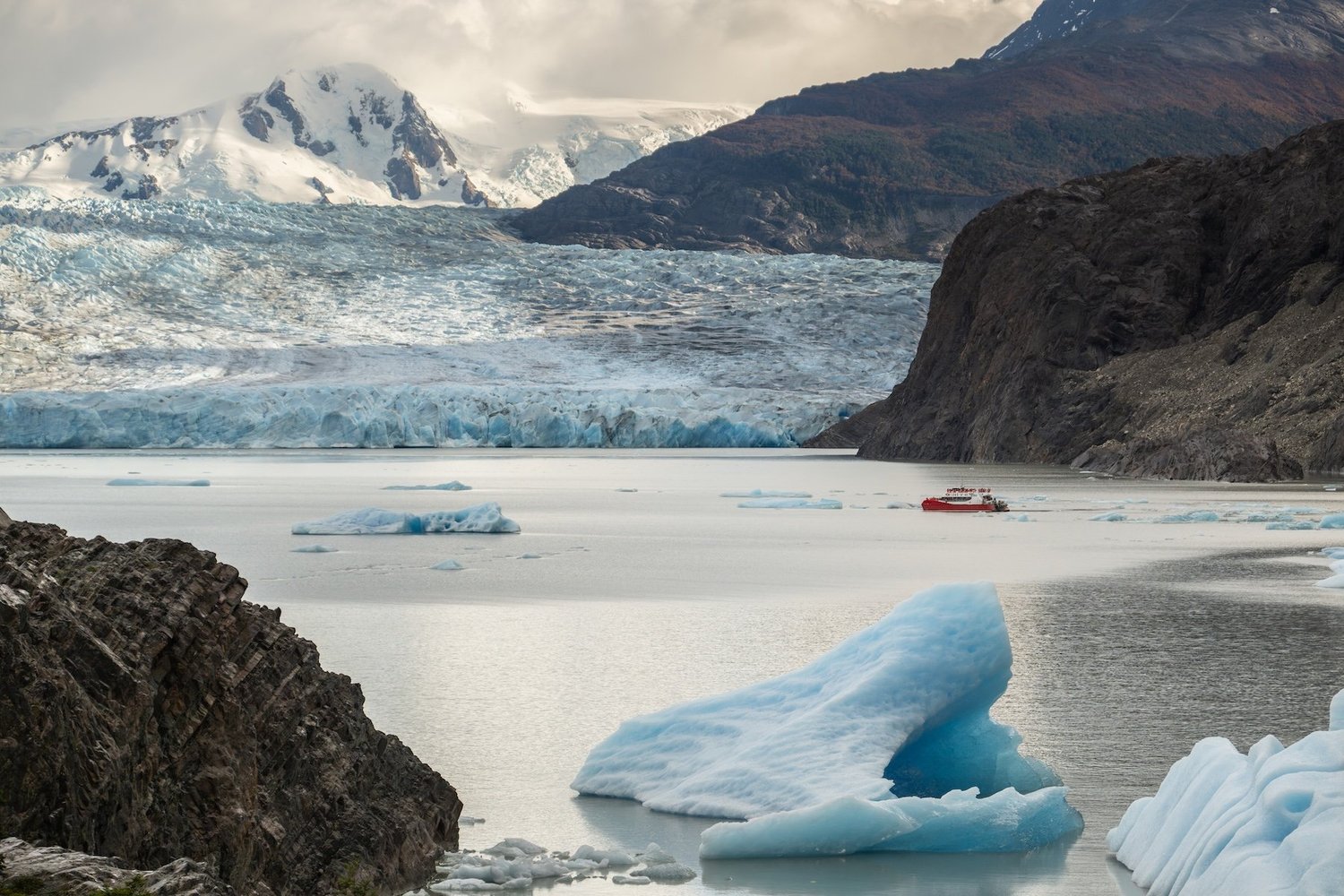 Icebergs drifting from the face of Grey Glacier