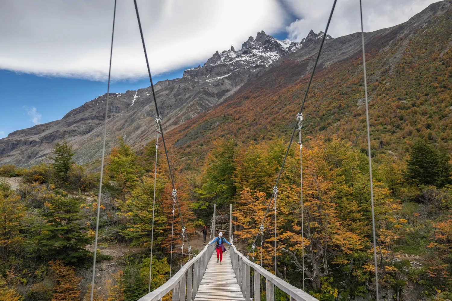 A hanging bridge strung across the autumn forest