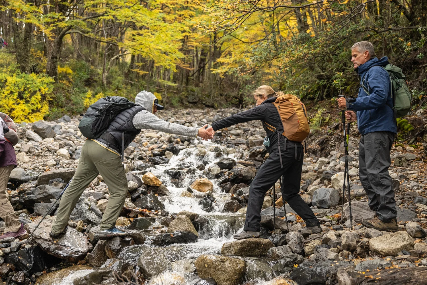 A hand across a stream in the golden forest