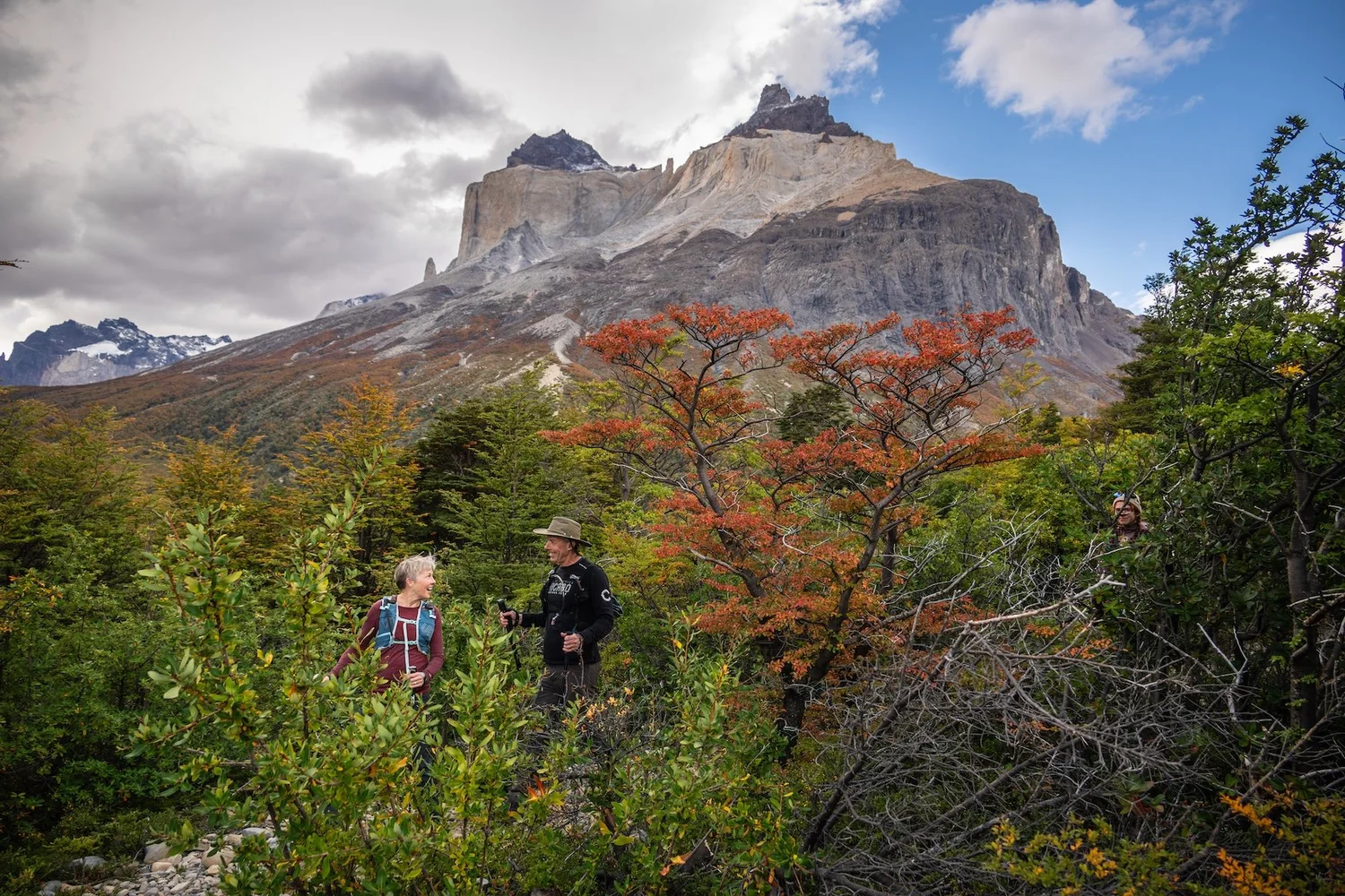 Walking through autumn colour toward the Cuernos del Paine