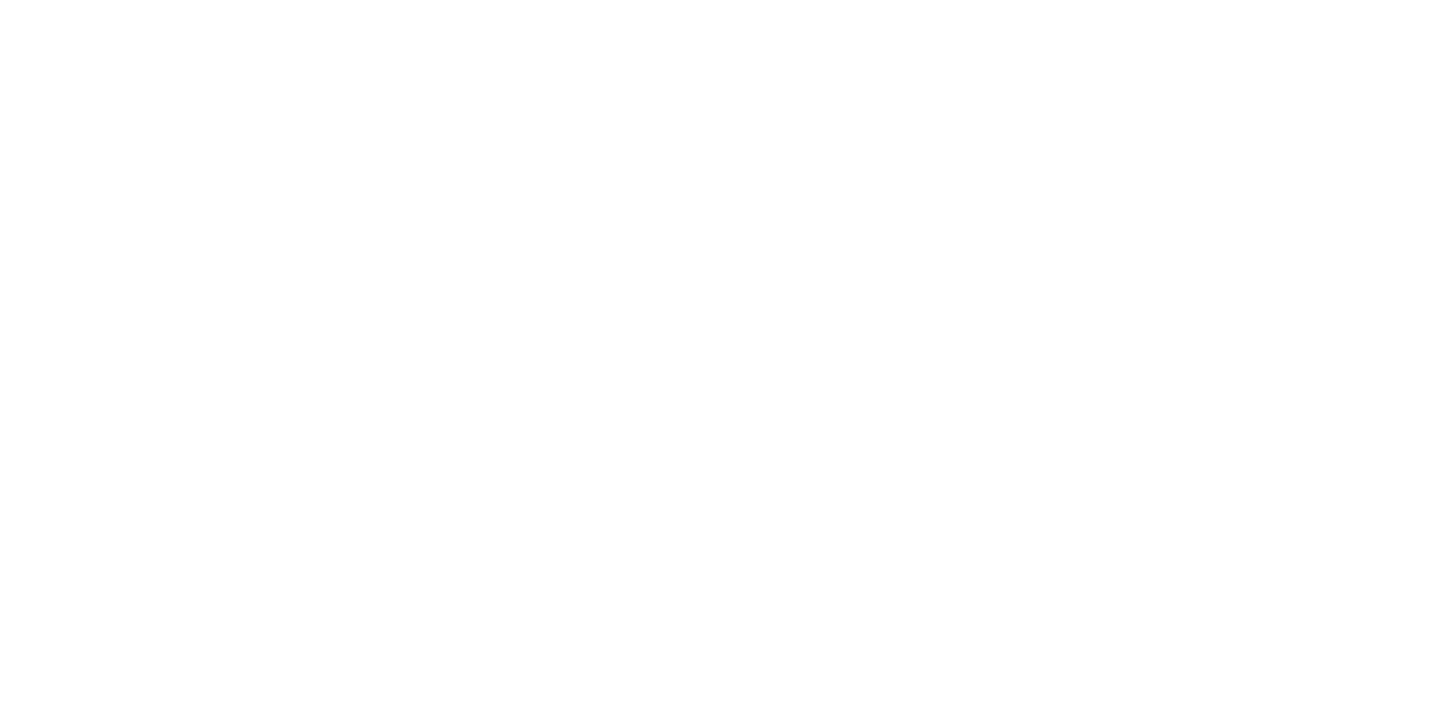 Preferred411 Logo