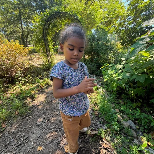 Exploring a garden on a nature walk