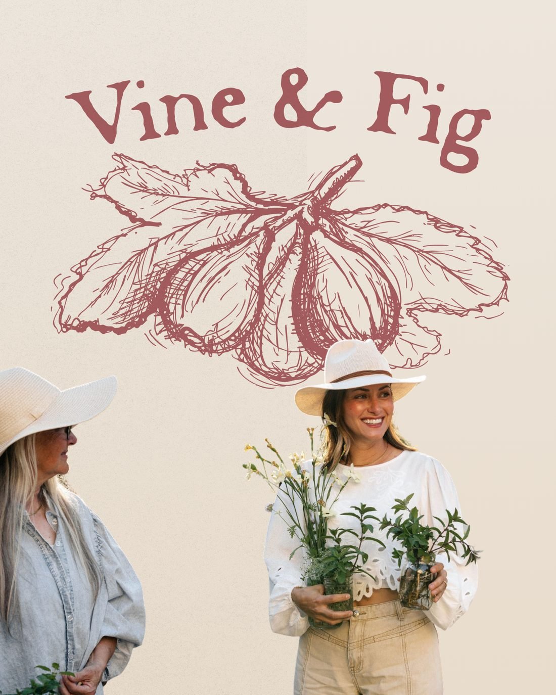 Vine & Fig brand and website