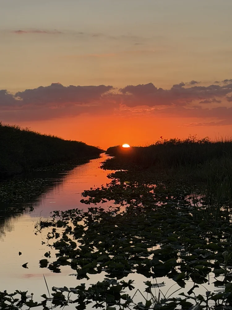 Sun setting over a quiet Everglades waterway