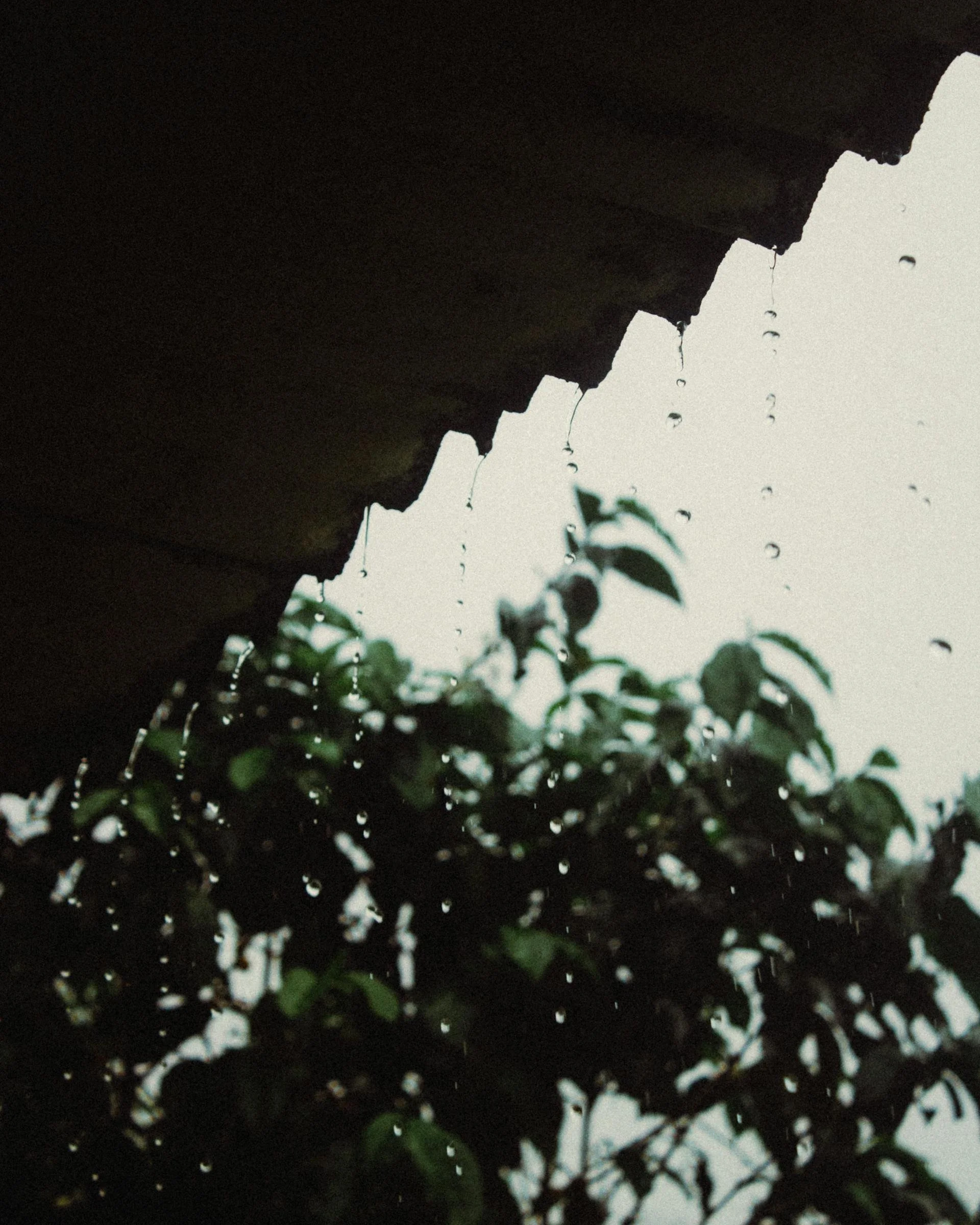 Akut takhjälp Skåne